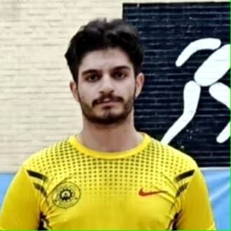 ماهان مەردانی